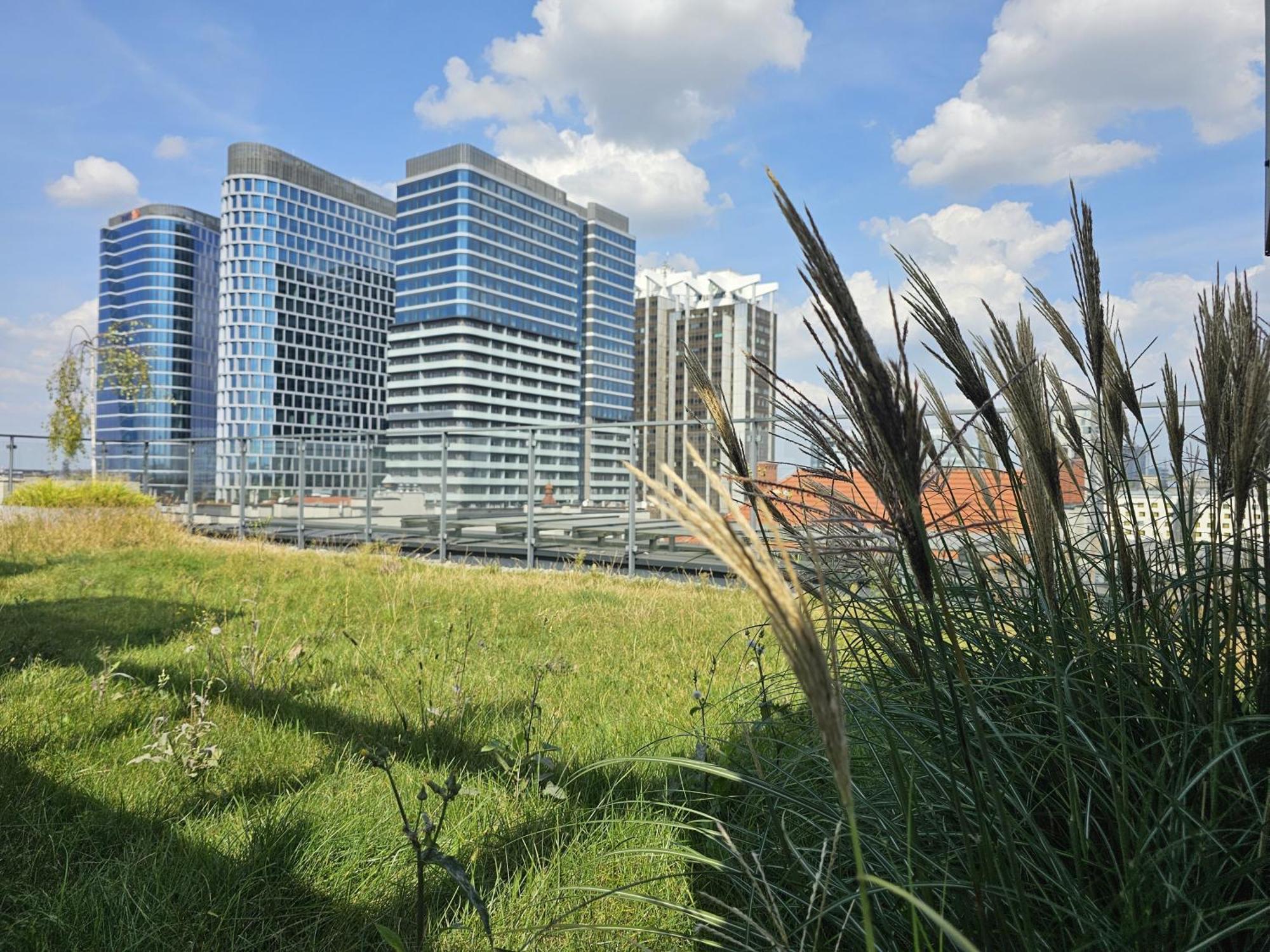 Urban Apartments Premium, Opolska 10 No 67B, Free Garage, Self Check-In Katowice Exterior foto